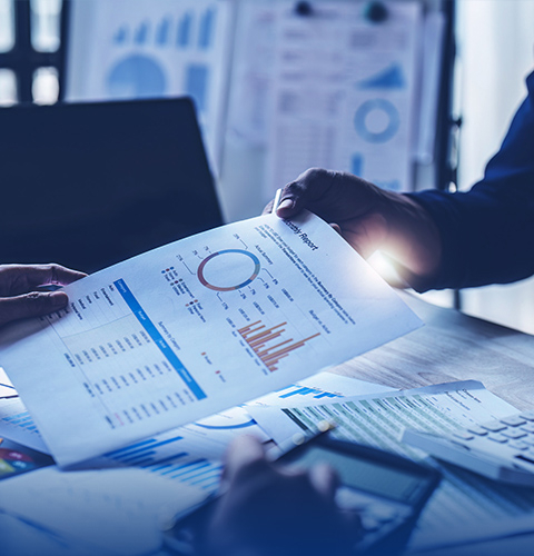 Portfolio  of Services (2)